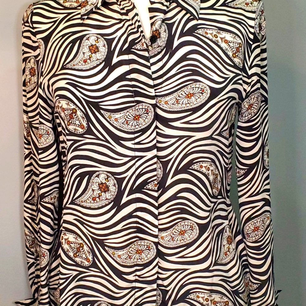 Color Fx Silk Zebra print blouse